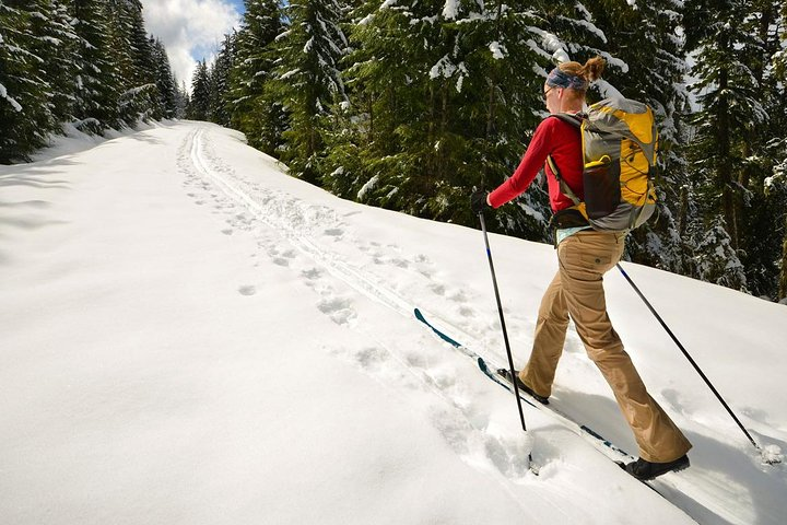 Half-Day Guided Backcountry Ski Touring Experience near Incline Village - Photo 1 of 4